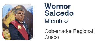 COMITE WENER_Mesa de trabajo 1